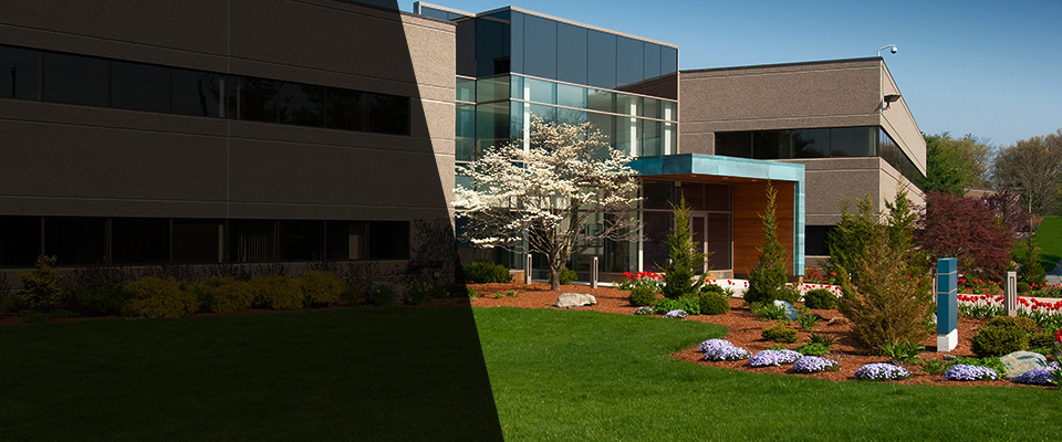 Galivants Ferry Landscapers