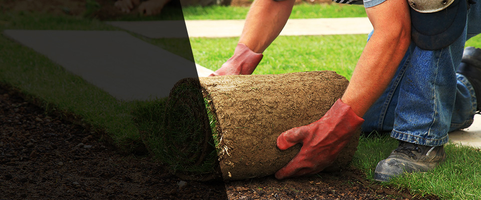 Galivants Ferry Landscapers